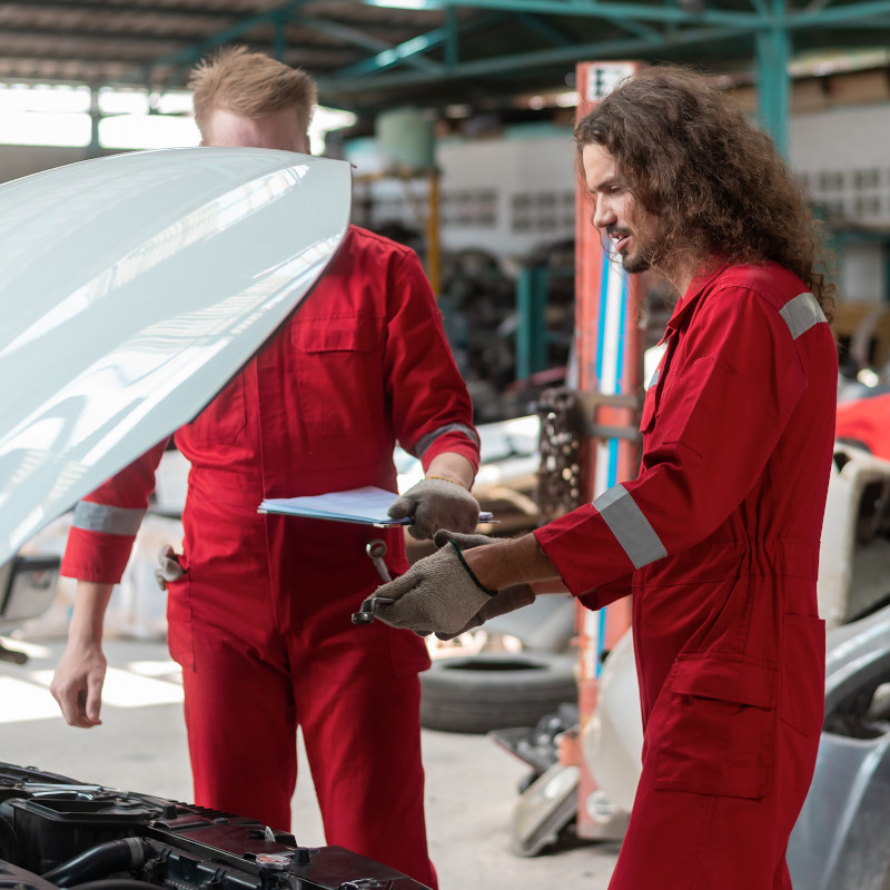 Damage Repair